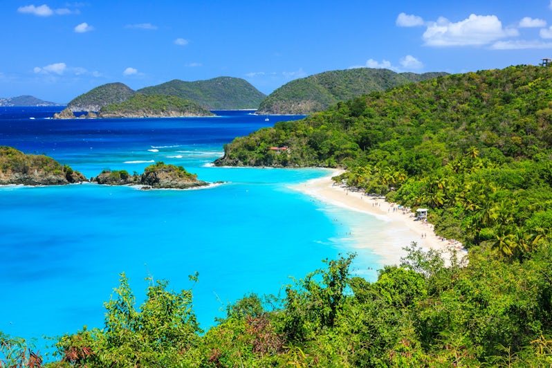 Trunk Bay, St John Island, US Virgin Islands (Photo: Sorin Colac/Shutterstock)