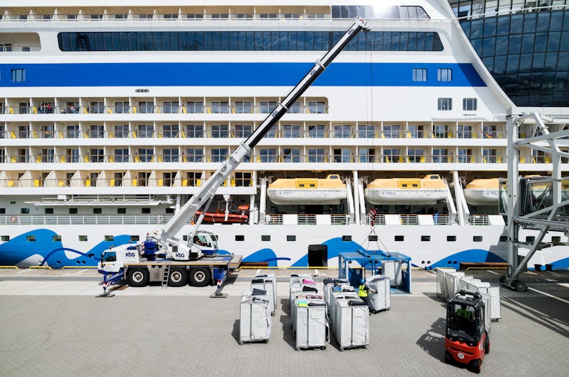 Luggage being loaded onto a cruise ship (Photo: By Bjoern Wylezich/Shutterstock)