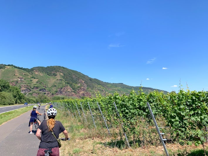 Cycling Through Vineyards with Avalon Waterways