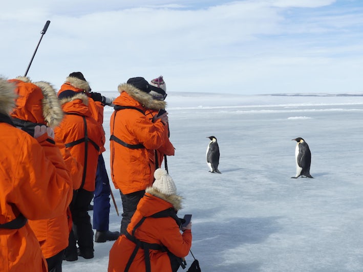 Emperor penguins in Antarctica with Lindblad Expeditions' National Geographic Endurance (Photo/Ming Tappin)