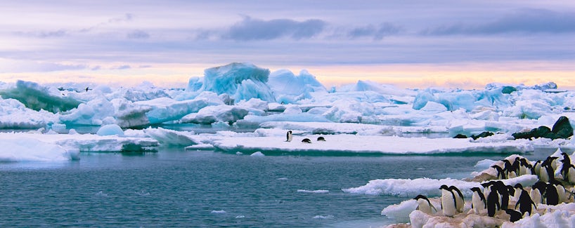Antarctica (Photo:Alexey Suloev/Shutterstock)