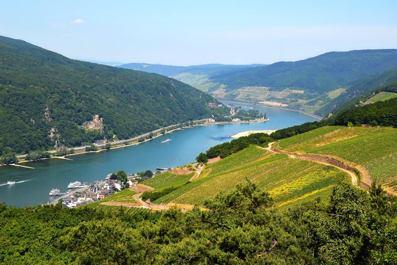 Rhine River (via Shutterstock)