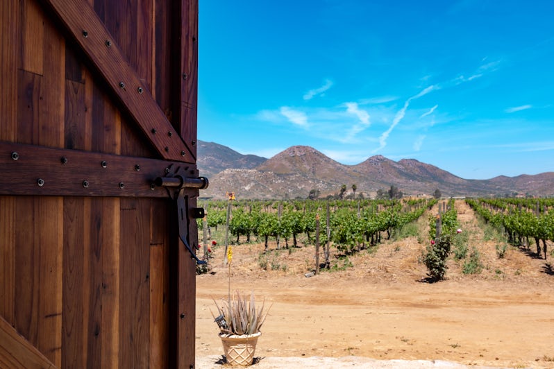 Photograph of a door opening to a view of a vineyard in Ensenada, Baja California, Mexico - Photography by Sherry V Smith via Shutterstock