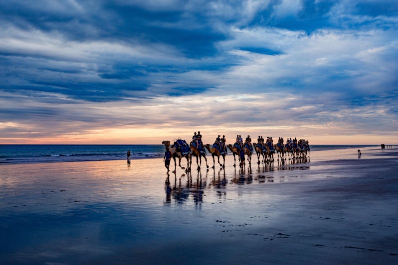Camels on the beach in Broome (Photo:ronnybas/Shutterstock)