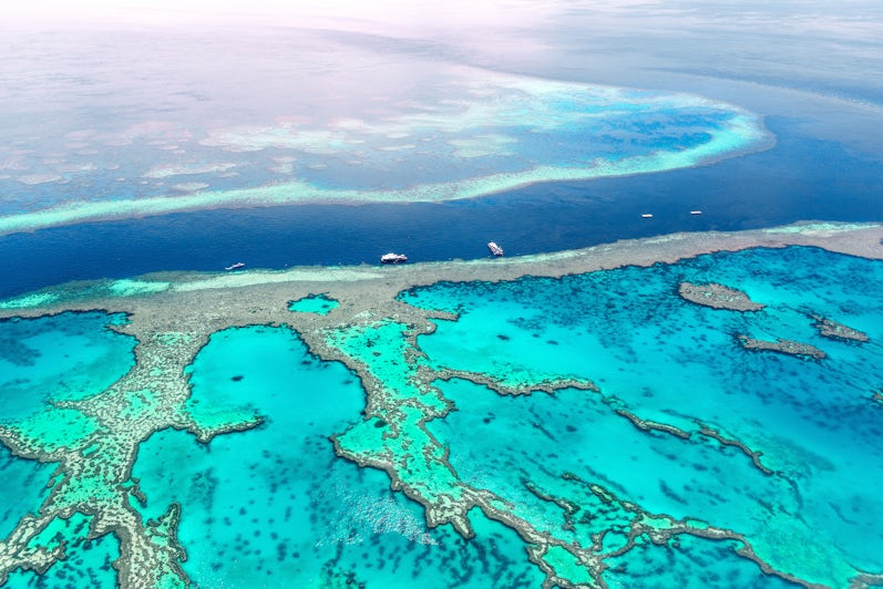 The Great Barrier Reef (Photo: superjoseph/Shutterstock)