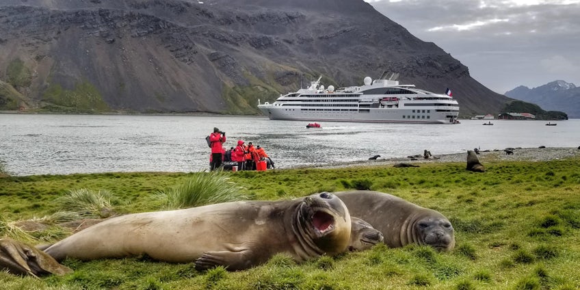 Cruising Antarctica and the Arctic: Which Expedition Cruise to Choose
