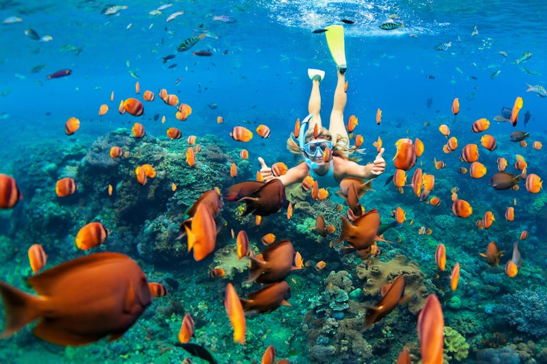 Snorkeling (Photo: Tropical studio/Shutterstock)