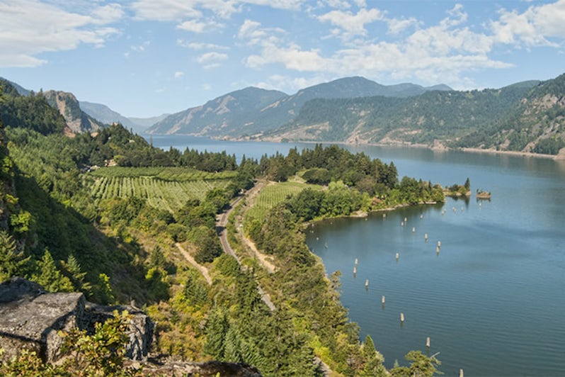 Aerial of scenic vineyards & orchards in Columbia River Gorge