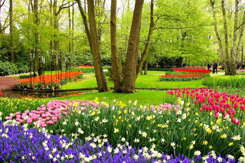 Keukenhof Gardens, Netherlands in spring