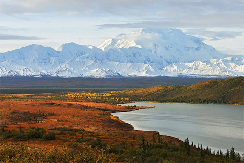 Denali National Park landscape in the fall months