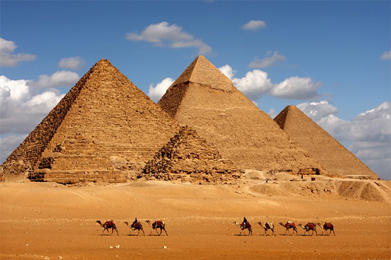 Line of camels in front of the Pyramids of Giza on February 3, 2009