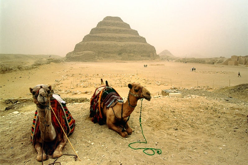 To camels sitting in front of Saqqara, The Step Pyramid of Zoser, Egypt on a hazy day