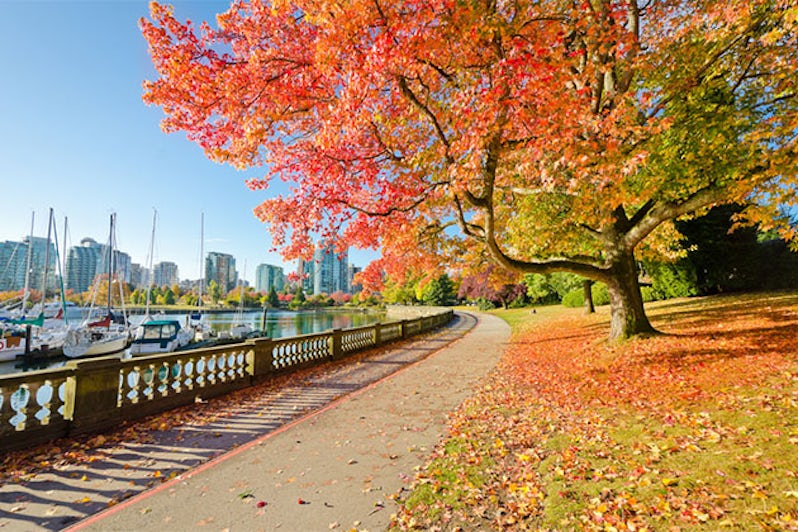 Orange autumn trees and sea walk at Stanley Park in Vancouver, Canada
