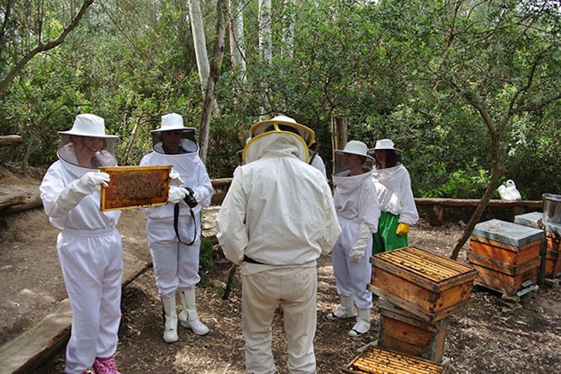 Tour group in beekeeper suits