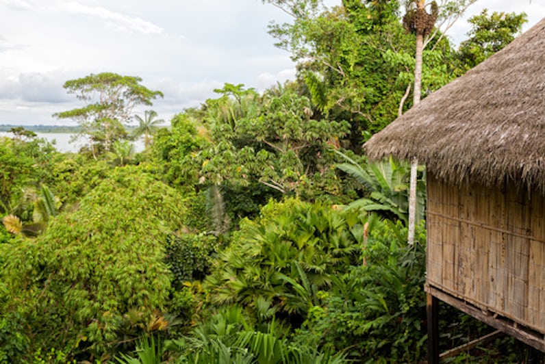 Yasuni Jungle Lodge in the Amazon, Ecuador