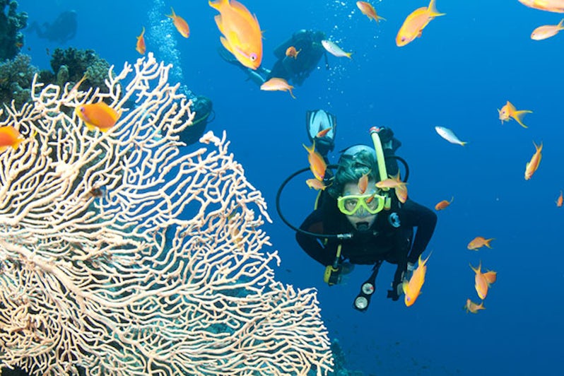 scuba diving in the Great Barrier Reef