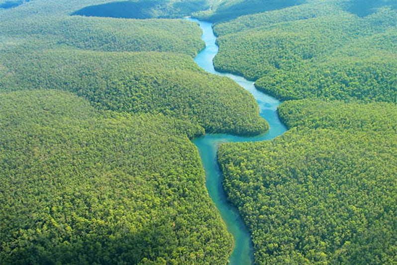 Aerial view of the Amazon River and rainforest.