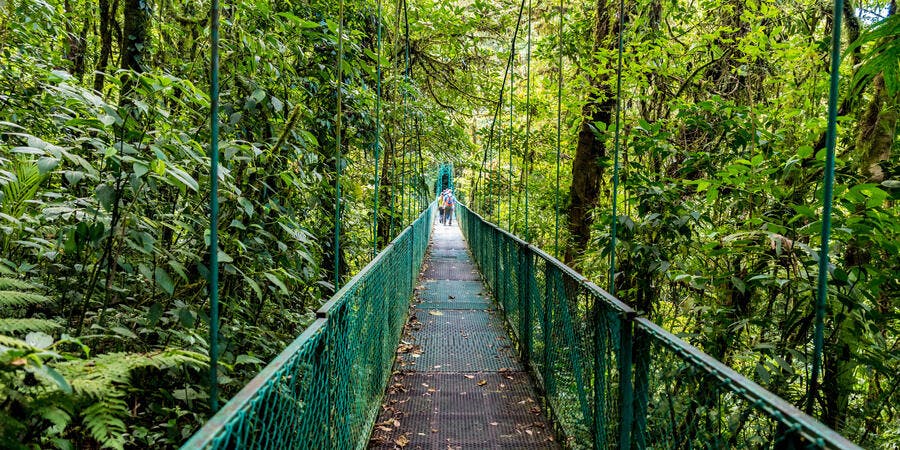 Hanging Bridge in Selvatura Park, Puntarenas, Costa Rica (Photo: Simon Dannhauer/Shutterstock) Hanging Bridge in Selvatura Park, Puntarenas, Costa Rica (Photo: Simon Dannhauer/Shutterstock)