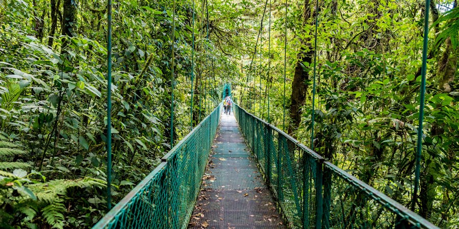 Hanging Bridge in Selvatura Park, Puntarenas, Costa Rica (Photo: Simon Dannhauer/Shutterstock) Hanging Bridge in Selvatura Park, Puntarenas, Costa Rica (Photo: Simon Dannhauer/Shutterstock)