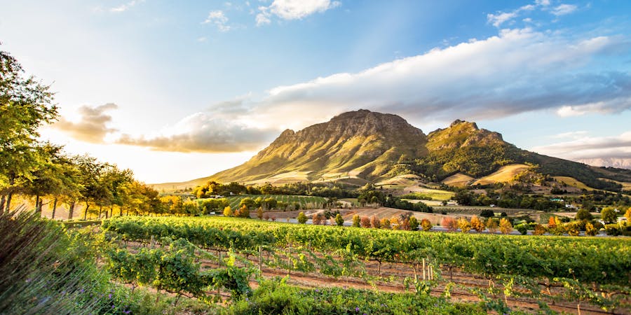 Wine Region Near Stellenbosch Looking at Simonsberg in South Africa (Photo: ModernNomad/Shutterstock) Wine Region Near Stellenbosch Looking at Simonsberg in South Africa (Photo: ModernNomad/Shutterstock)