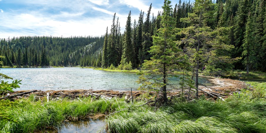 Denali National Park, Alaska (Photo: Jon Manjeot/Shutterstock) Denali National Park, Alaska (Photo: Jon Manjeot/Shutterstock)