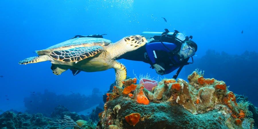 Snorkelling in Cozumel (Photo:CAN BALCIOGLU/Shutterstock) Snorkelling in Cozumel (Photo:CAN BALCIOGLU/Shutterstock)