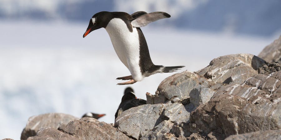 Hurtigruten day 7 Orne Island (photo via Hurtigruten) Hurtigruten day 7 Orne Island (photo via Hurtigruten)