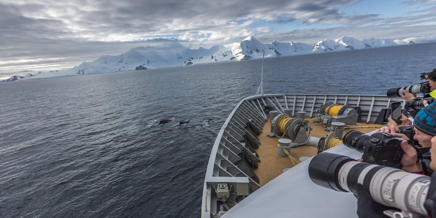 Hurtigruten whale sightings (Photo credit: Hurtigruten) Hurtigruten whale sightings (Photo credit: Hurtigruten)