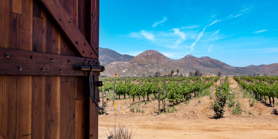 Vineyard in Ensenada, Baja California, Mexico (Photo: Sherry V Smith/Shutterstock) Vineyard in Ensenada, Baja California, Mexico (Photo: Sherry V Smith/Shutterstock)