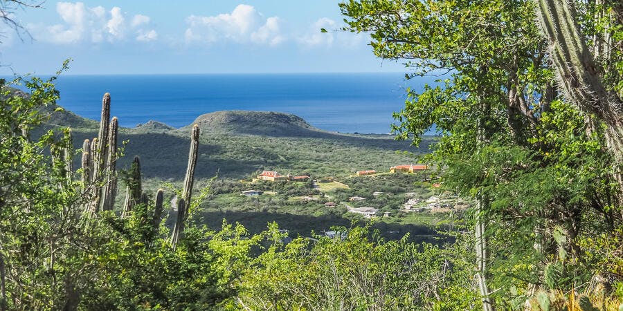 Christoffel National Park, Caribbean (Photo: Gail Johnson/Shutterstock) Christoffel National Park, Caribbean (Photo: Gail Johnson/Shutterstock)