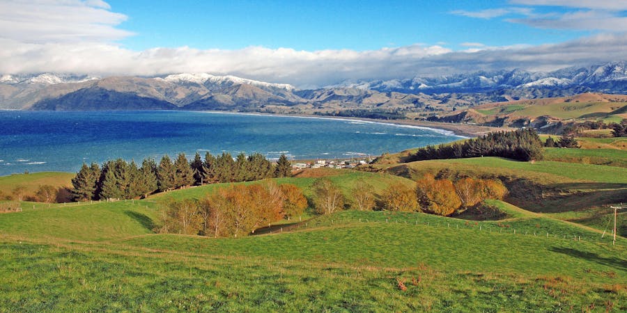 Kaikoura, New Zealand (Photo: robert cicchetti/Shutterstock) Kaikoura, New Zealand (Photo: robert cicchetti/Shutterstock)
