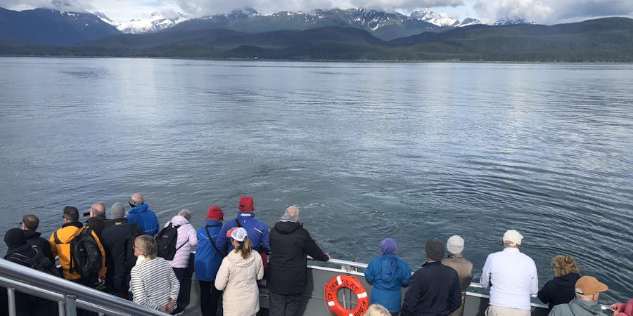 Passengers Looking for Whales Onboard Ferry (Photo: Christina Janansky/Cruise Critic) Passengers Looking for Whales Onboard Ferry (Photo: Christina Janansky/Cruise Critic)