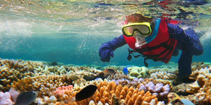Snorkeling in the Great Barrier Reef (Photo: ChameleonsEye/Shutterstock.com) Snorkeling in the Great Barrier Reef (Photo: ChameleonsEye/Shutterstock.com)