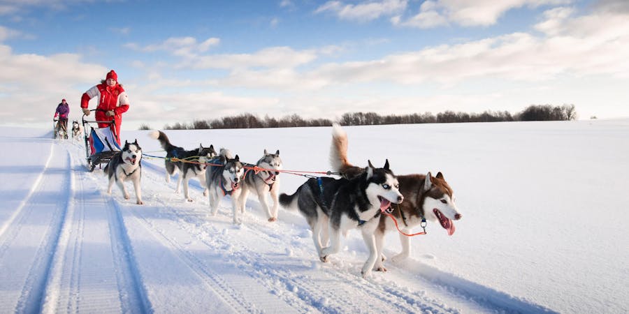 Dog-sledding (Photo: gillmar/Shutterstock.com) Dog-sledding (Photo: gillmar/Shutterstock.com)