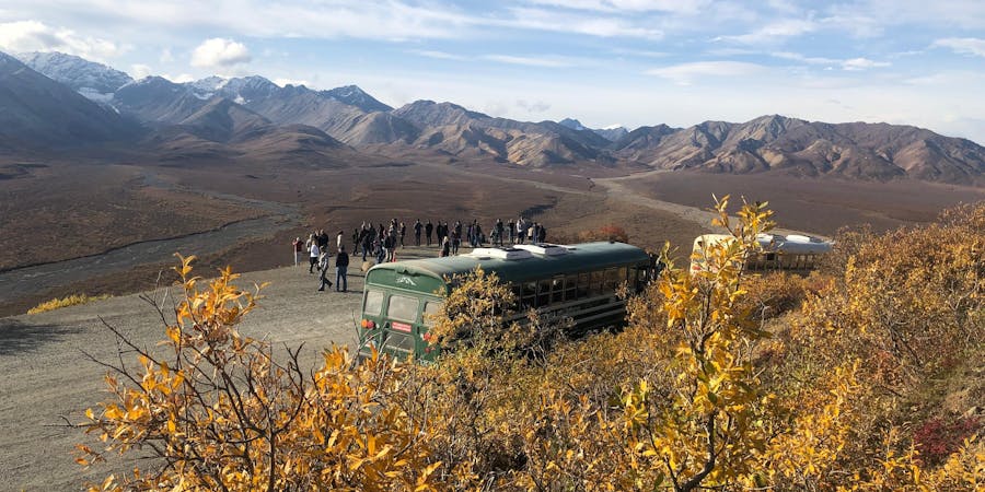 The Bus and Passengers Enjoying Scenic Views on the Denali Tundra Tour (Photo: Chris Gray Faust/Cruise Critic) The Bus and Passengers Enjoying Scenic Views on the Denali Tundra Tour (Photo: Chris Gray Faust/Cruise Critic)