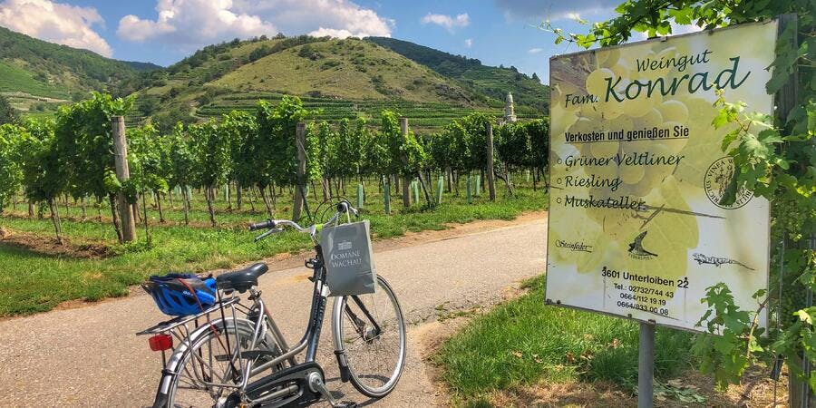 Cycling among the vineyards in Durnstein. (Photo by Carolyn Spencer Brown) Cycling among the vineyards in Durnstein. (Photo by Carolyn Spencer Brown)