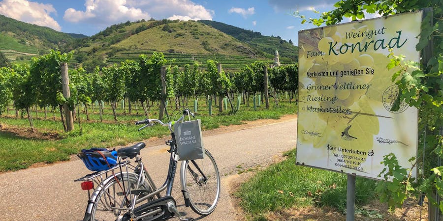 Cycling among the vineyards in Durnstein. (Photo by Carolyn Spencer Brown) Cycling among the vineyards in Durnstein. (Photo by Carolyn Spencer Brown)