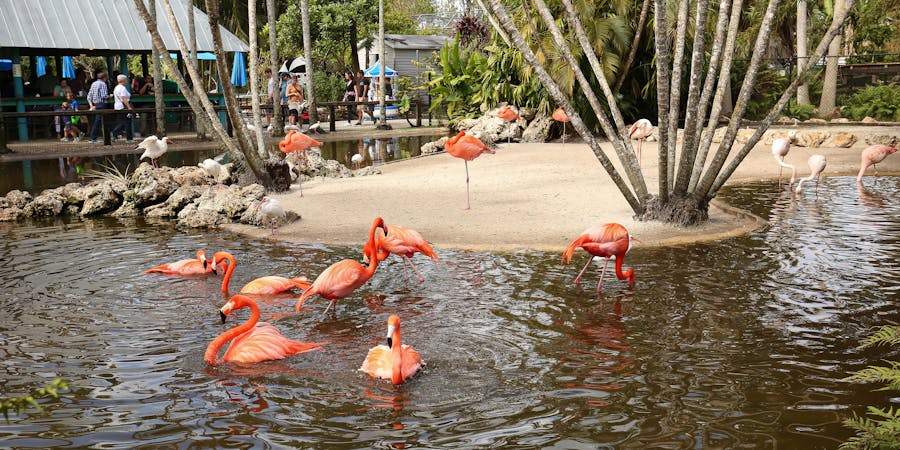 The Wildlife Sanctuary of Flamingo Gardens (Photo: Jillian Cain Photography/Shutterstock) The Wildlife Sanctuary of Flamingo Gardens (Photo: Jillian Cain Photography/Shutterstock)