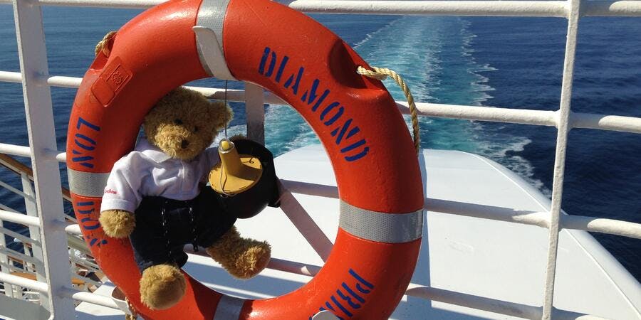 A vacationing teddy on Diamond Princess (Photo: DrT33th/Cruise Critic member) A vacationing teddy on Diamond Princess (Photo: DrT33th/Cruise Critic member)