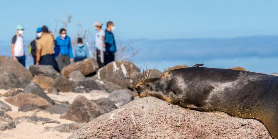 2020 Galapagos Expedition with Metropolitan Touring (Photo: Metropolitan Touring) 2020 Galapagos Expedition with Metropolitan Touring (Photo: Metropolitan Touring)
