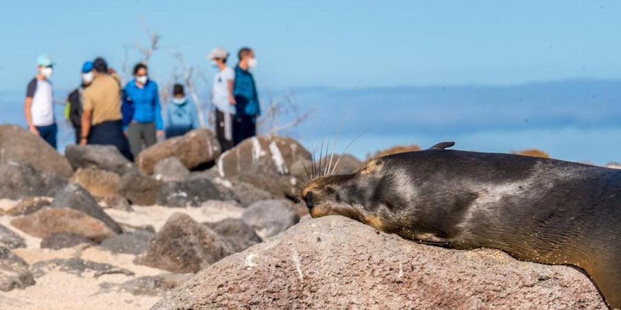 2020 Galapagos Expedition with Metropolitan Touring (Photo: Metropolitan Touring) 2020 Galapagos Expedition with Metropolitan Touring (Photo: Metropolitan Touring)