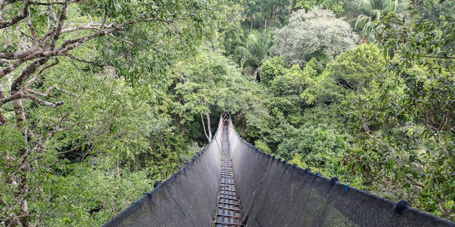 Canopy Walkway in the Amazon Forest (Photo: Christian Vinces/Shutterstock) Canopy Walkway in the Amazon Forest (Photo: Christian Vinces/Shutterstock)