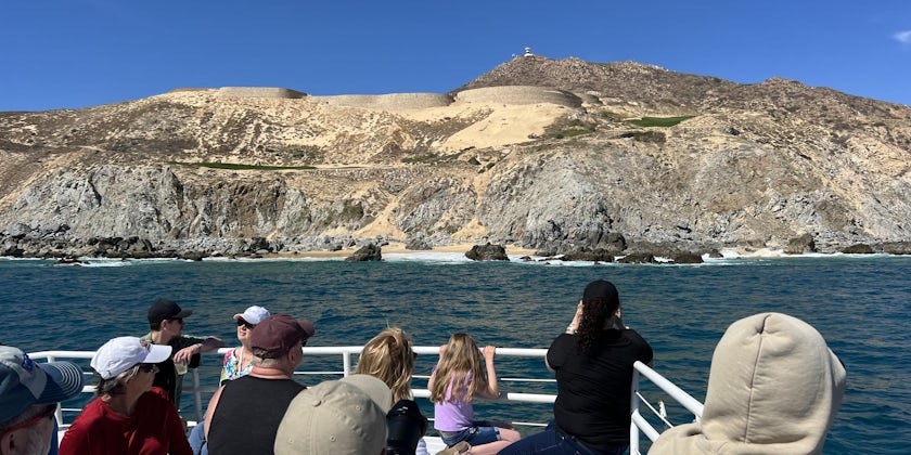 Whale watching in Cabo (Photo: Katherine Alex Beaven)