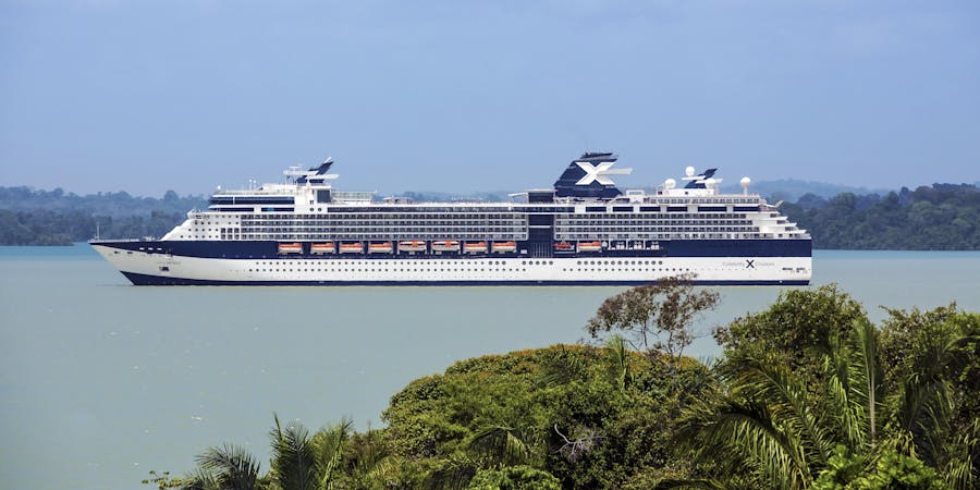 Celebrity Infinity Celebrity Infinity