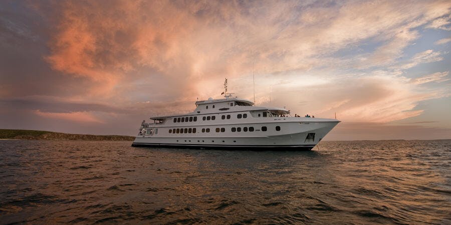 True North (Photo: True North Adventure Cruises) True North (Photo: True North Adventure Cruises)