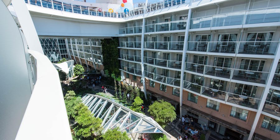 The Central Park View Cabin with Balcony on Oasis of the Seas The Central Park View Cabin with Balcony on Oasis of the Seas