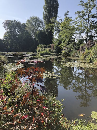 Monet’s garden