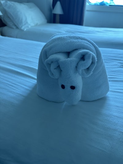 Towel animals
