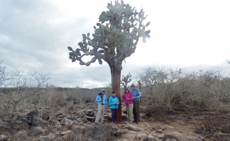 Our travel group at a cactus tree