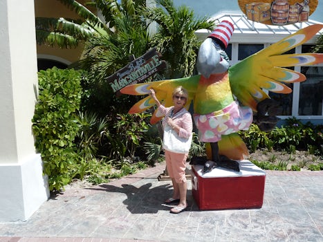 The most photographed "Bird" in Grand Turk....